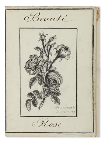 (BOTANICAL.) Latouche, Leonie. Album of botanical drawings.
